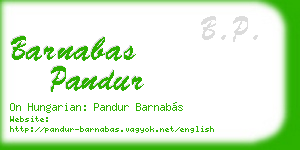 barnabas pandur business card